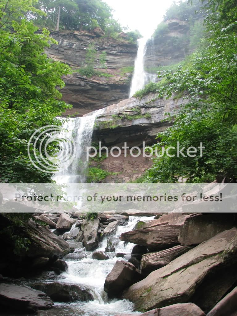 IMG_4799.jpg