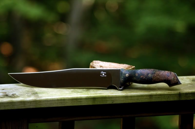 A-01BowieBWM2993.jpg