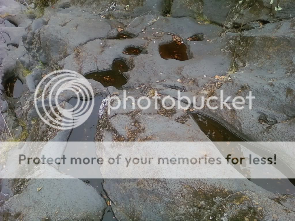 img1246601598757.jpg