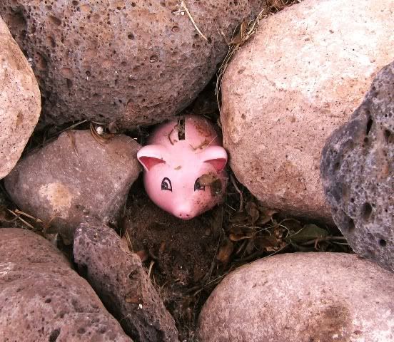 payloadpig.jpg