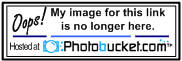 IMG_3232.gif