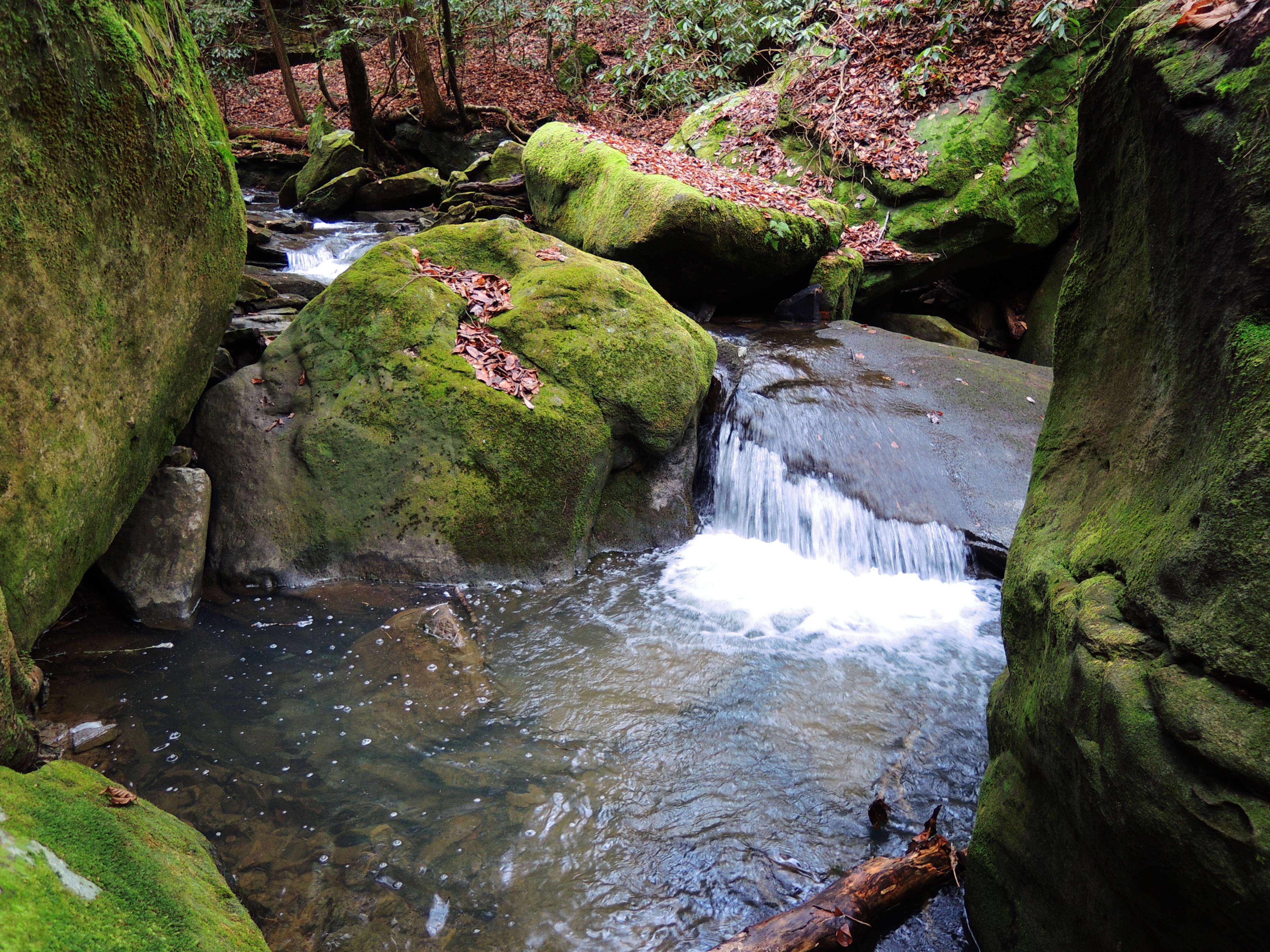 dscn5004q.jpg