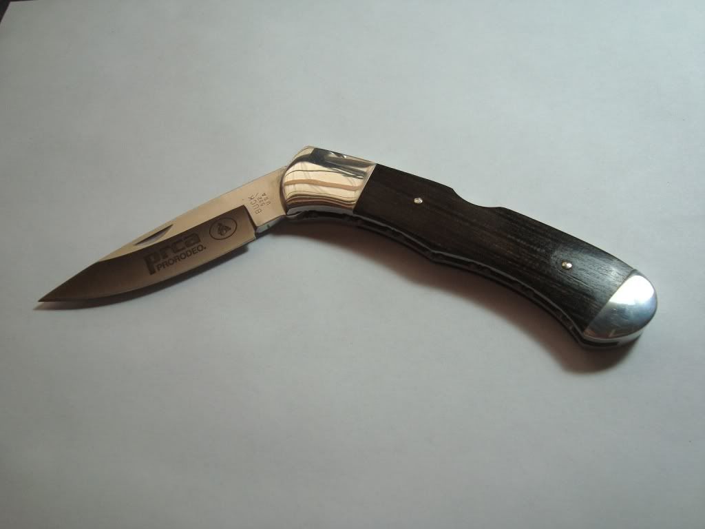 Buck532PRCA1.jpg