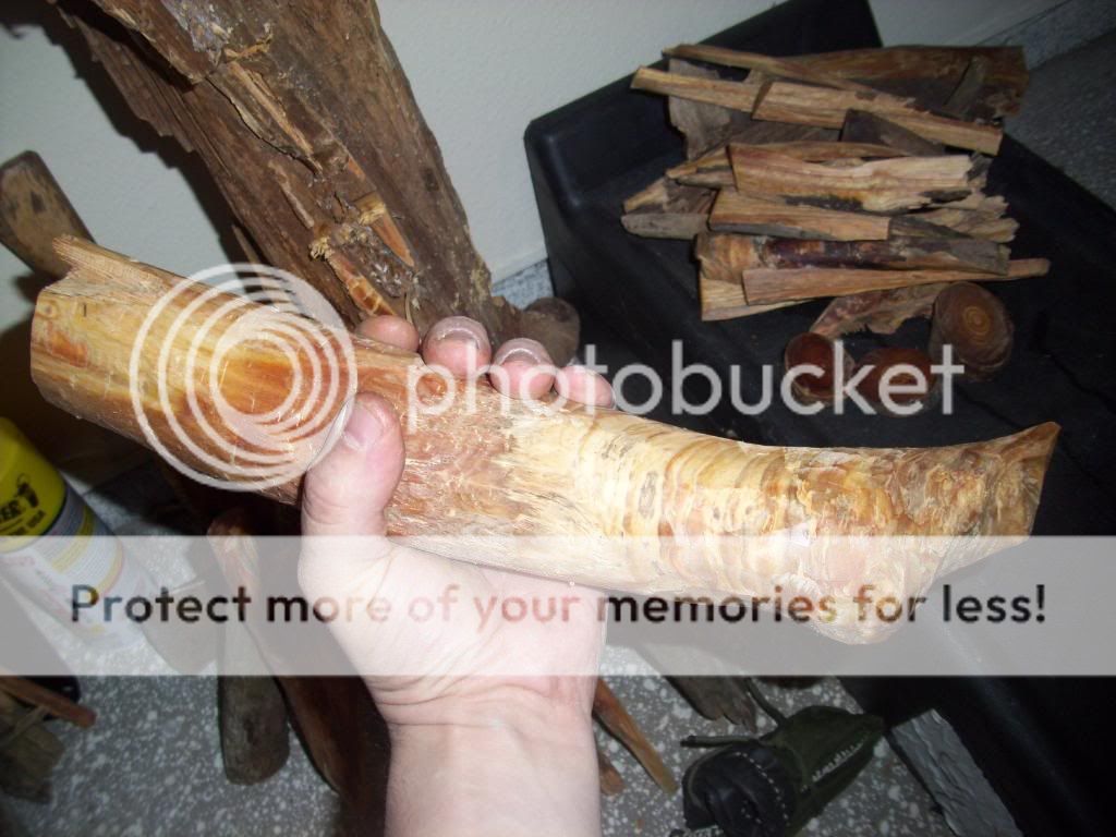 fatwood017.jpg