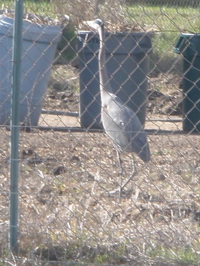 PC152140.jpg