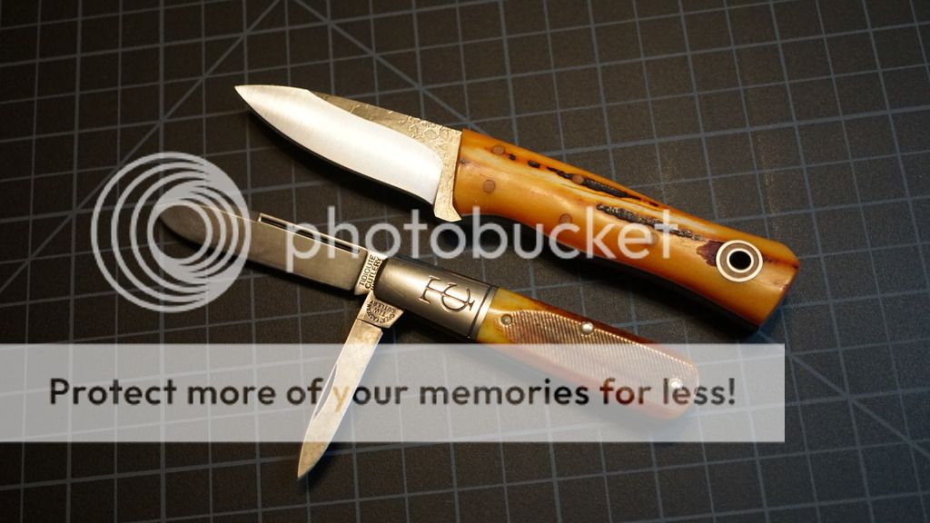DSC00924_zpsk76u8mpk.jpg