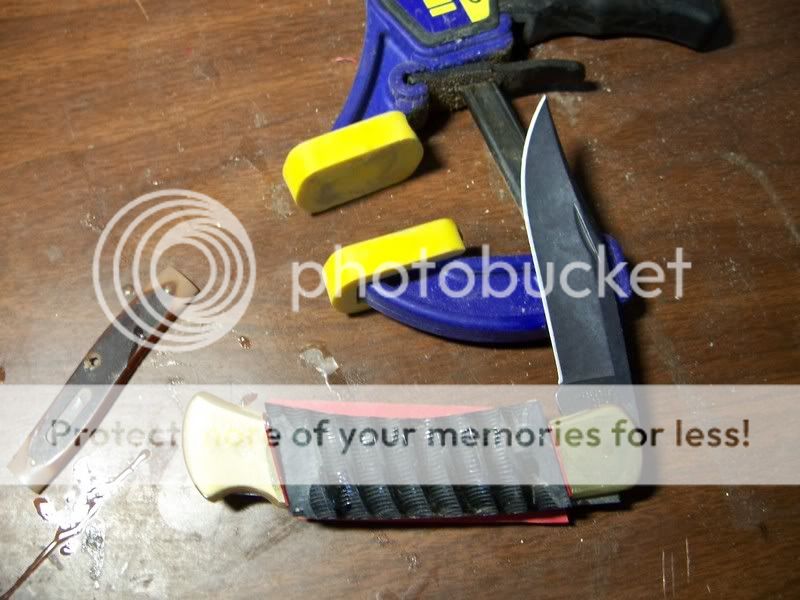 buck.jpg