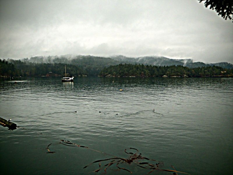 ChristmasBreakPics2012006_zpse4d054f8.jpg