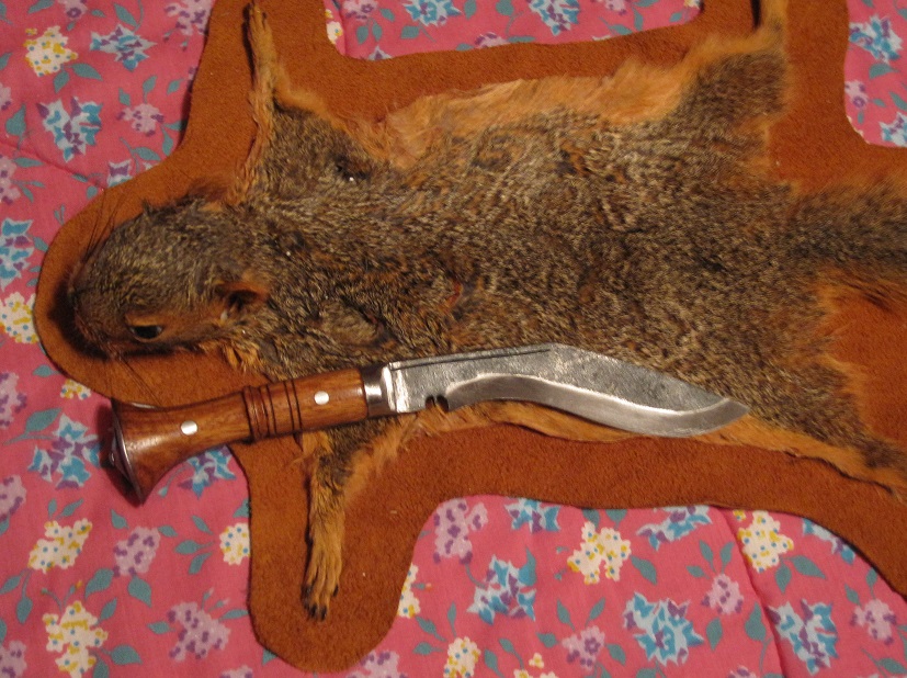 A79sV0g.jpg