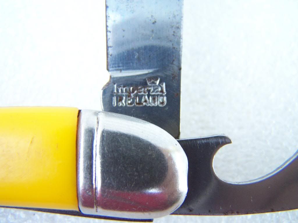 100_6734.jpg