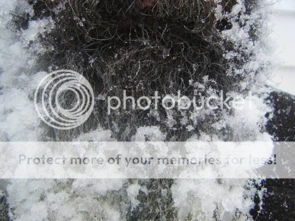 DSCF9938.jpg