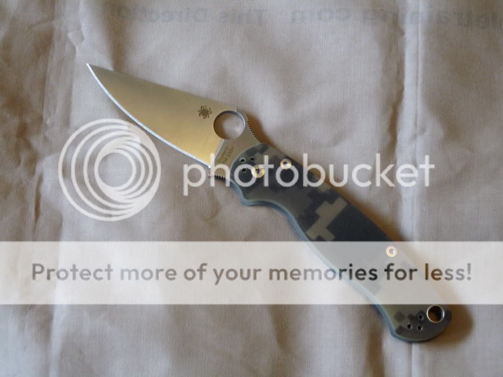 spydercopara2.jpg