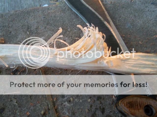 100_2080.jpg