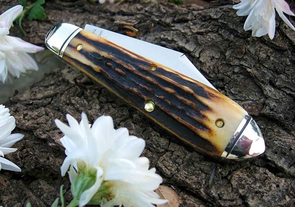 GEC85TeardropStag02.jpg