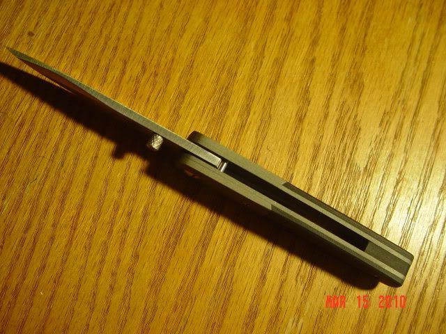 DSC00098.jpg