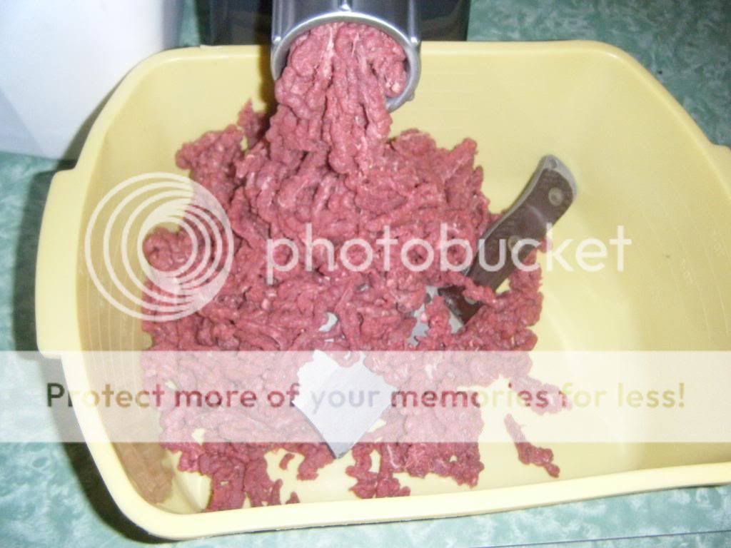 DSCF9539.jpg
