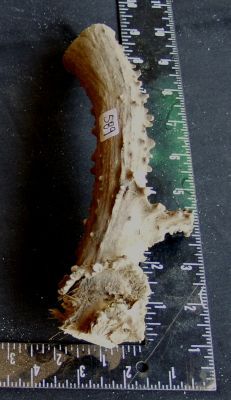 589a.jpg
