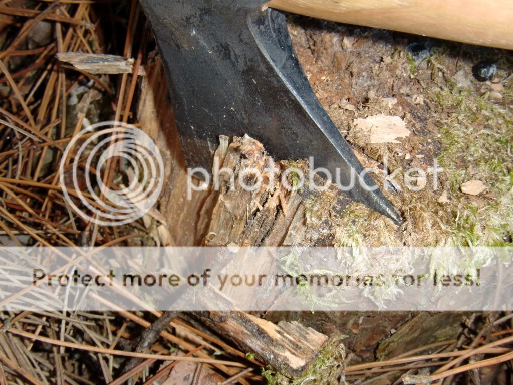 CIMG0335.jpg