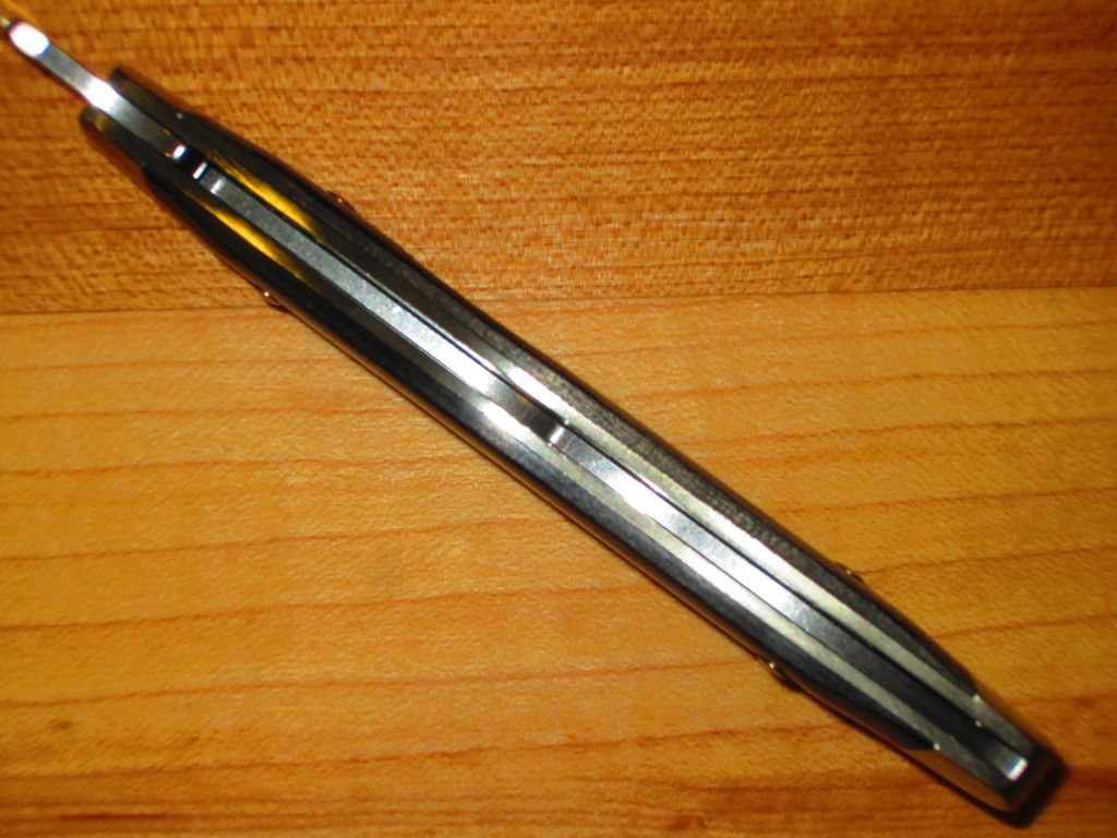 Buck302_v.jpg