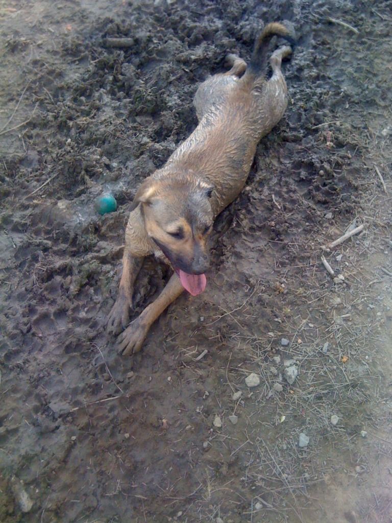 June102012462.jpg