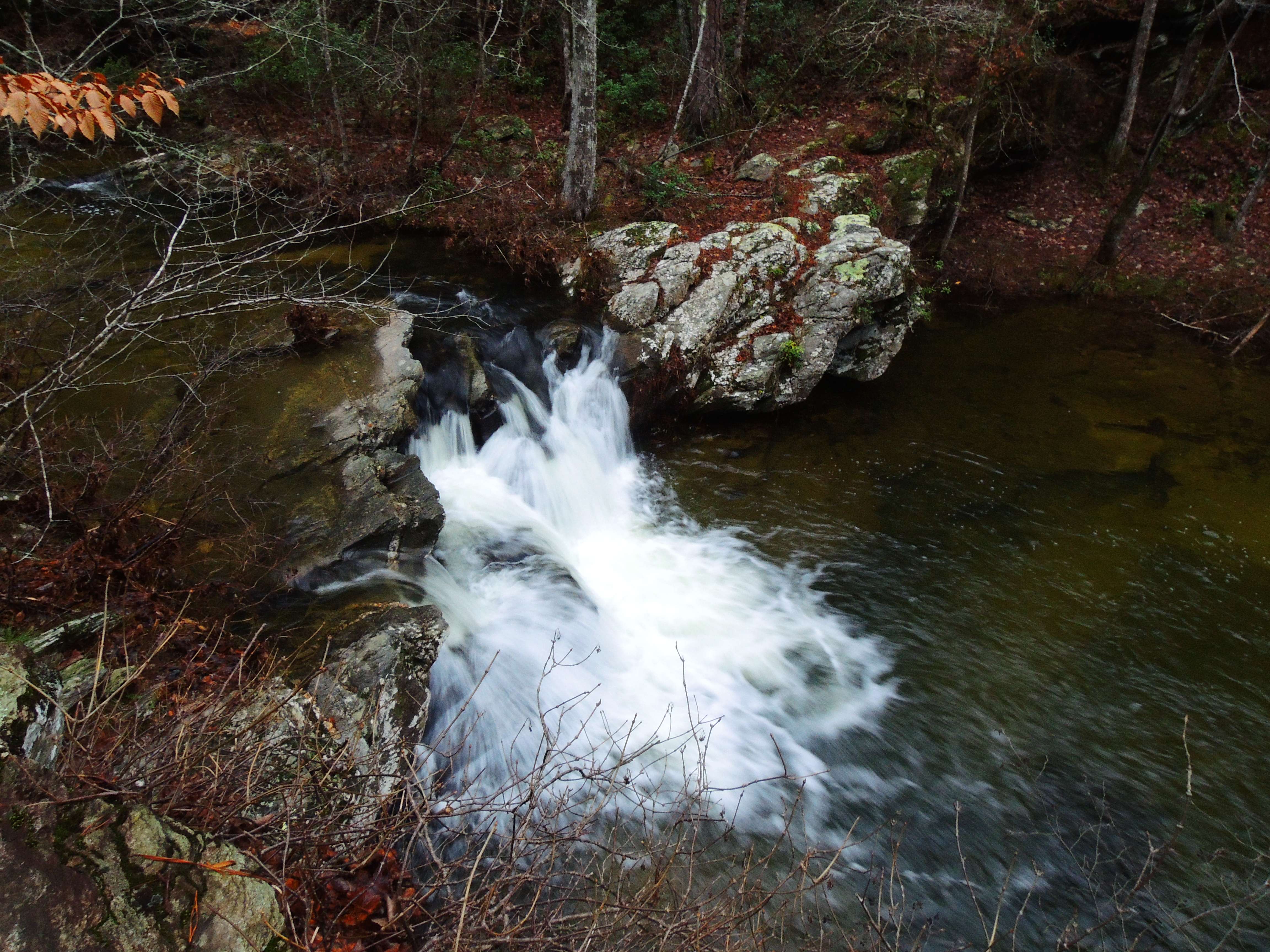 dscn5970.jpg