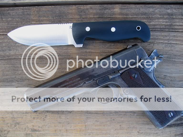 scout1911.jpg