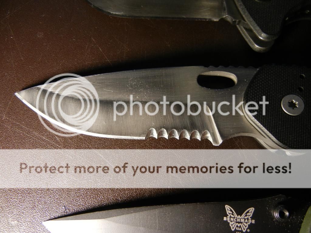 DSCN0797.jpg