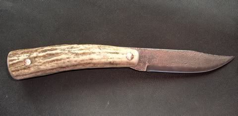 mooseantler.jpg