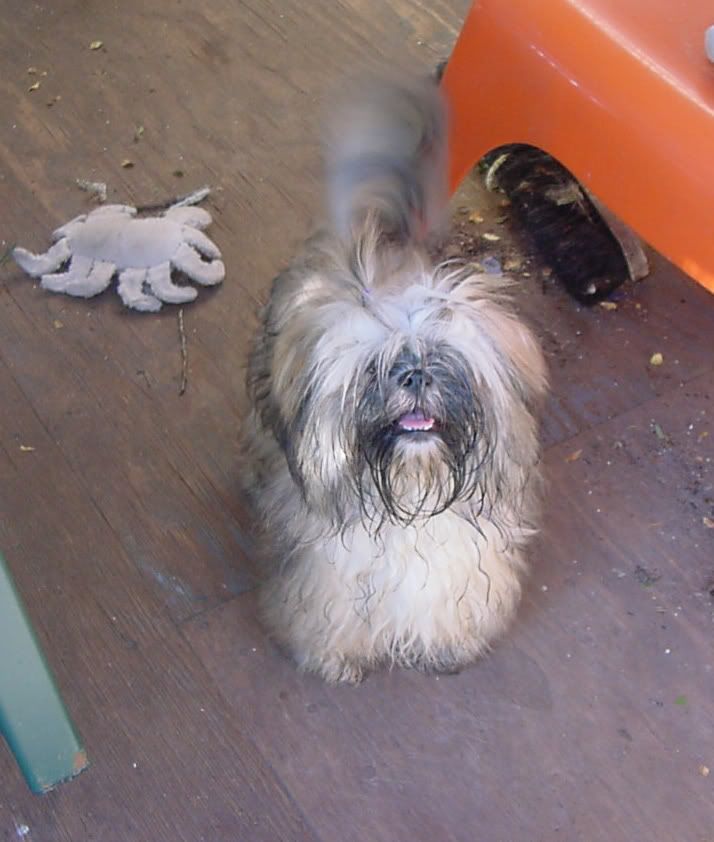 Sophie5July2.jpg