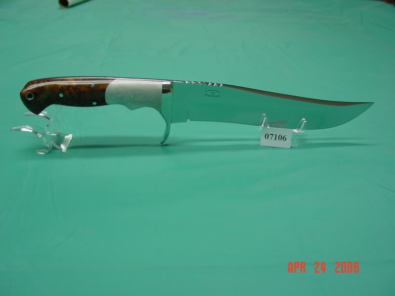 DSC02678.jpg