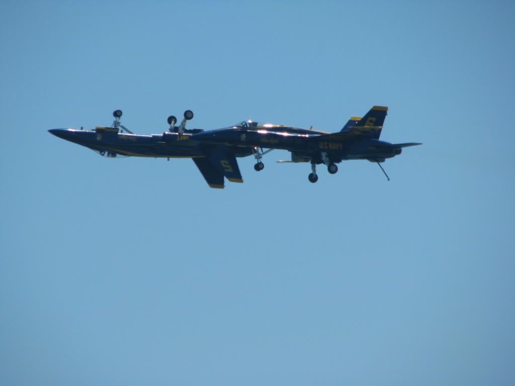 IMG_5434.jpg