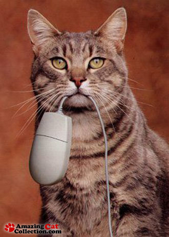 mouser.jpg