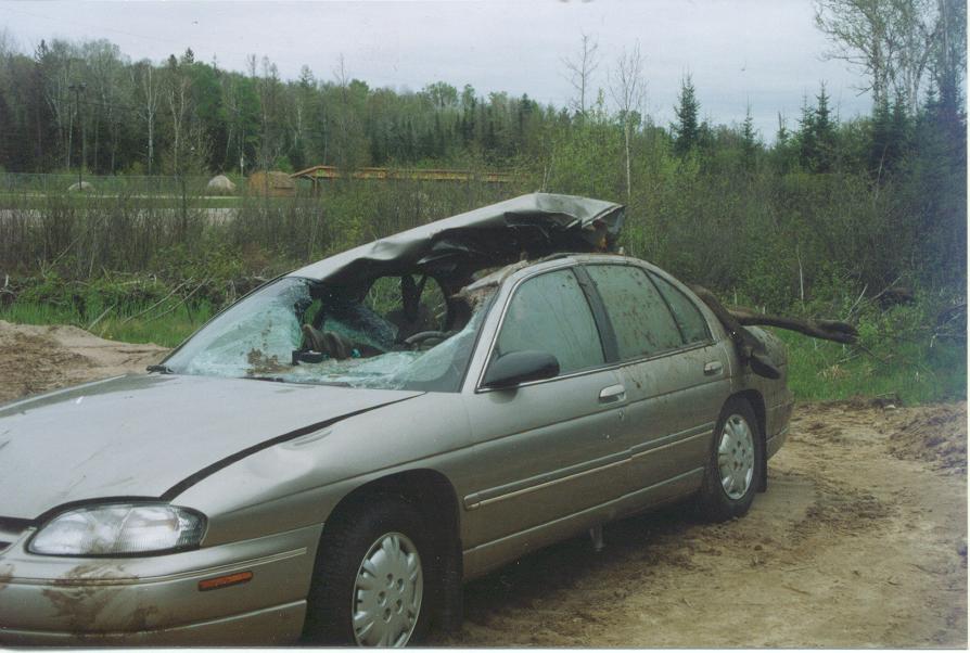 moose2.jpg