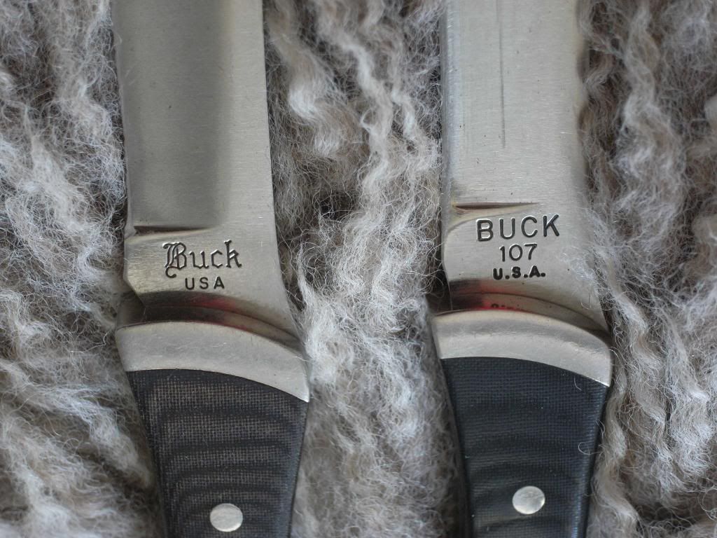 Buck107zweiRicassoklein.jpg