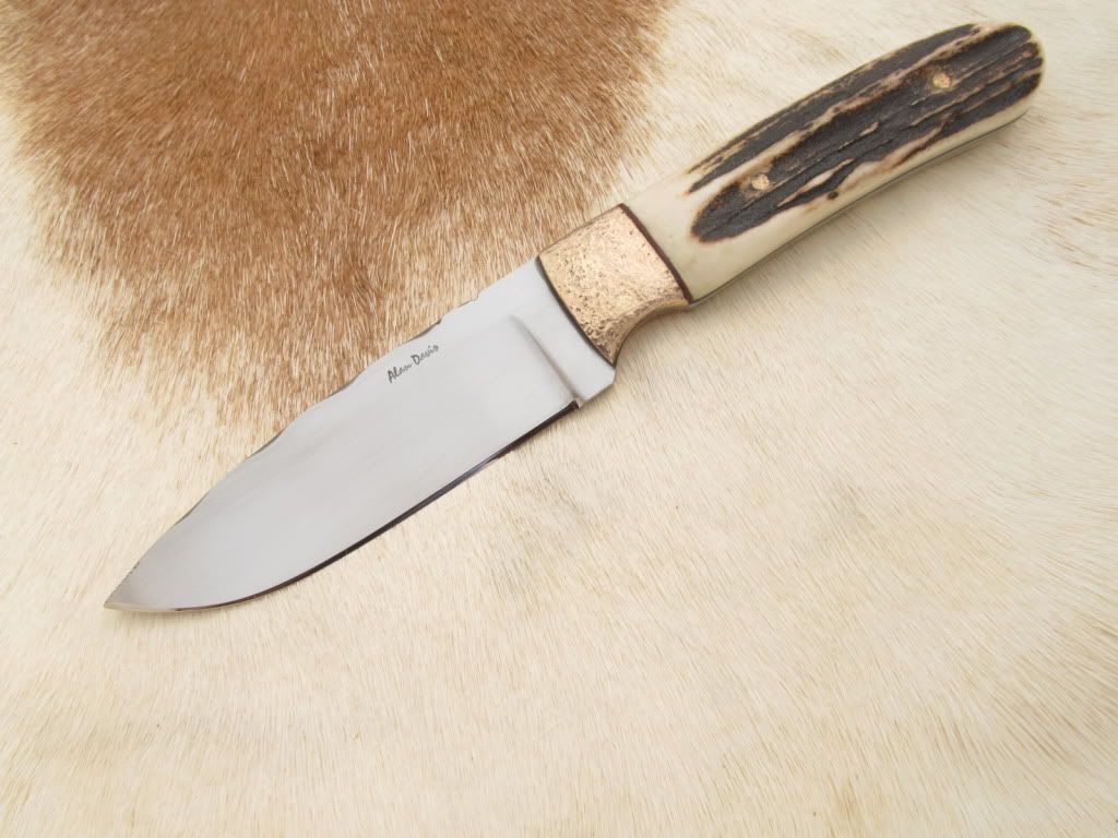 stagbronzehunter027.jpg