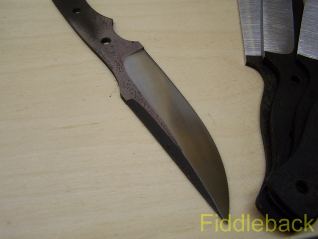 bsprev105_2092-vi.jpg