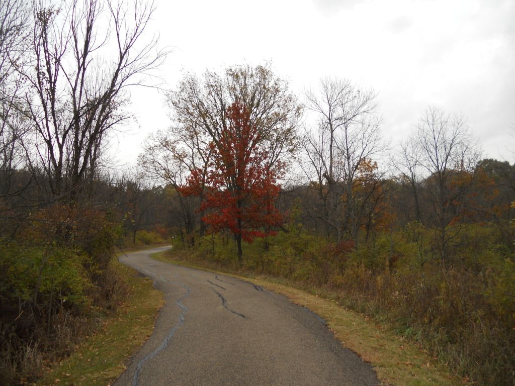 010-11.jpg