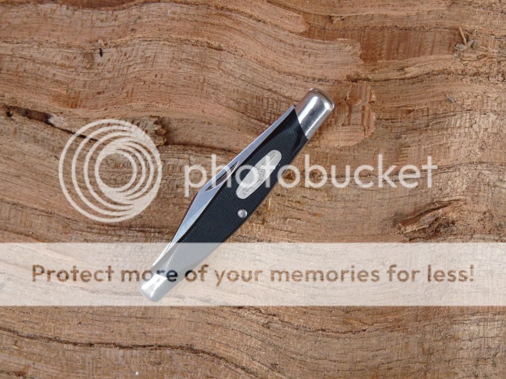buck305-3.jpg
