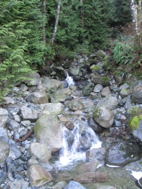 IMG_1890.jpg