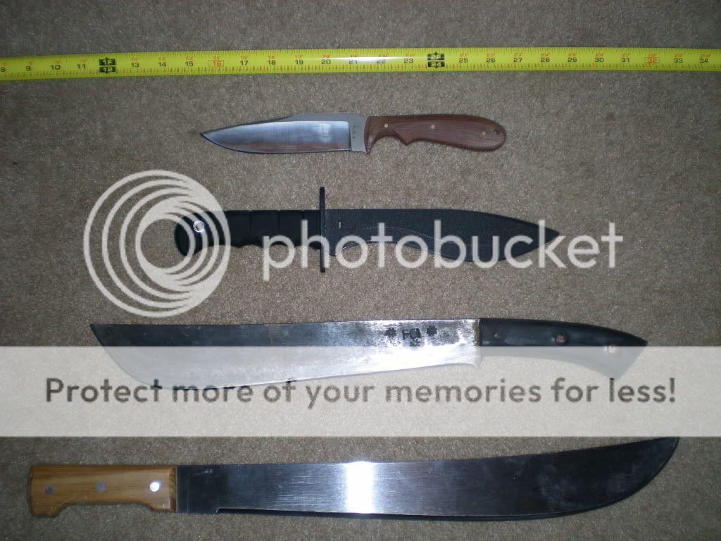 DSCN3511.jpg
