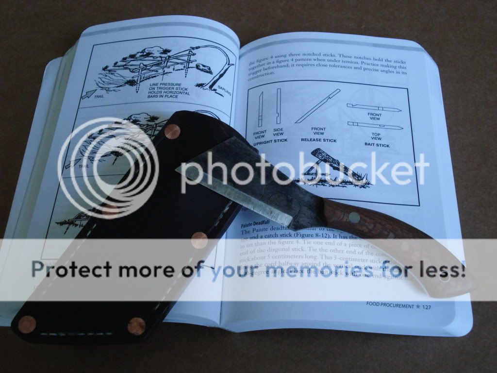 DSC02014.jpg