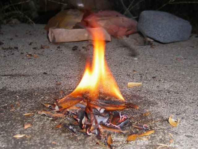 fatwood.jpg