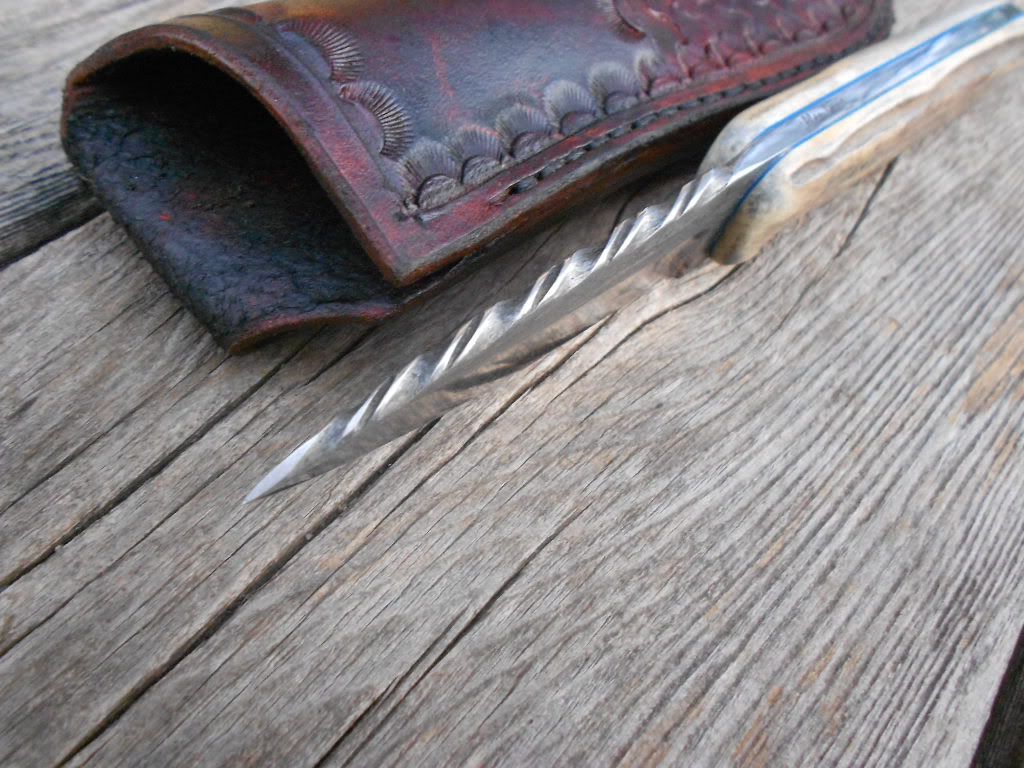 1095stag010.jpg