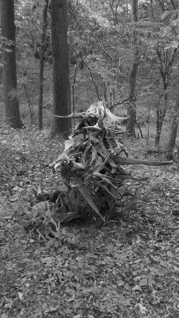 760824122_photobucket_53154_.jpg