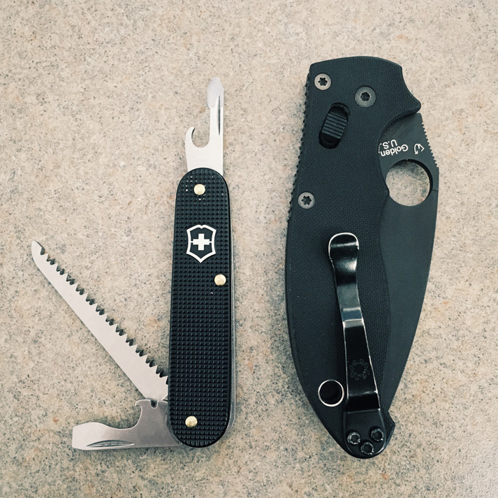 pZWq+