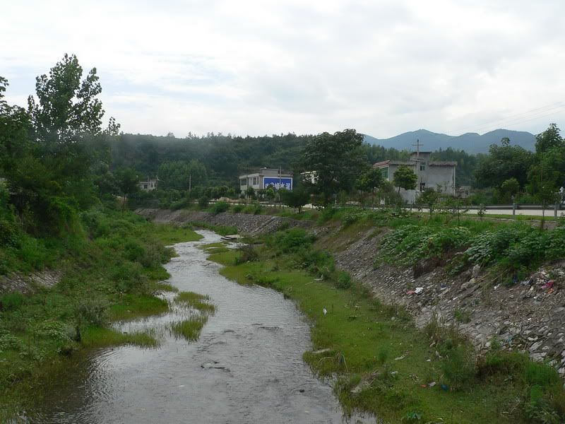 P1410490.jpg