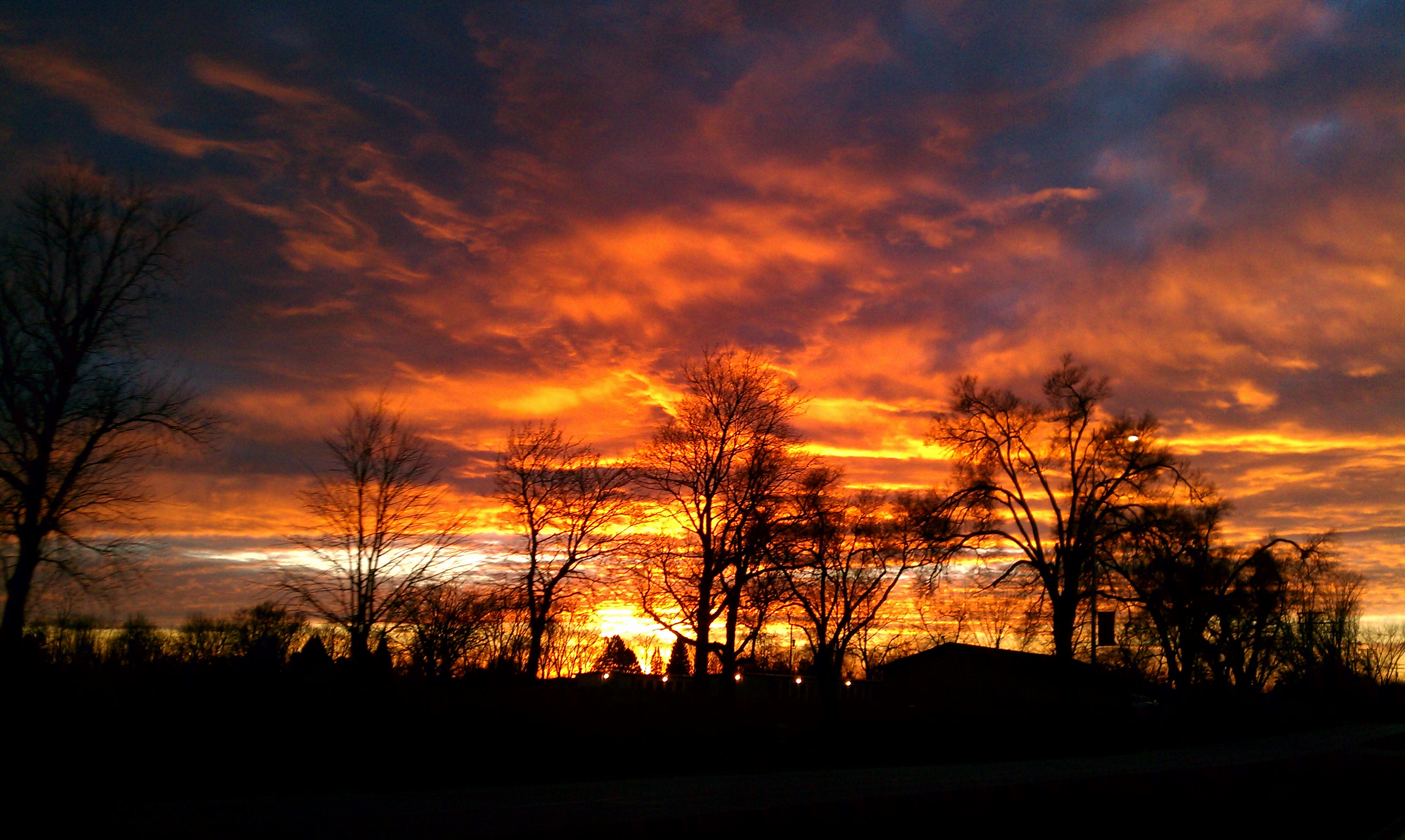 IMAG0418.jpg