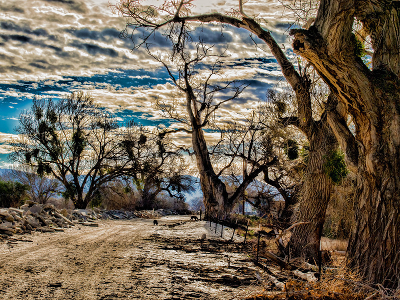 P2021308-Edit-L.jpg
