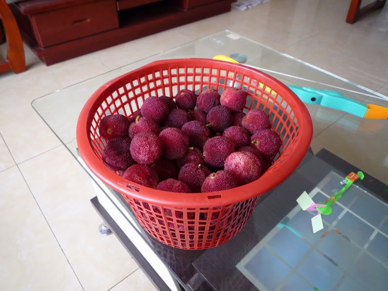 P1070704.jpg