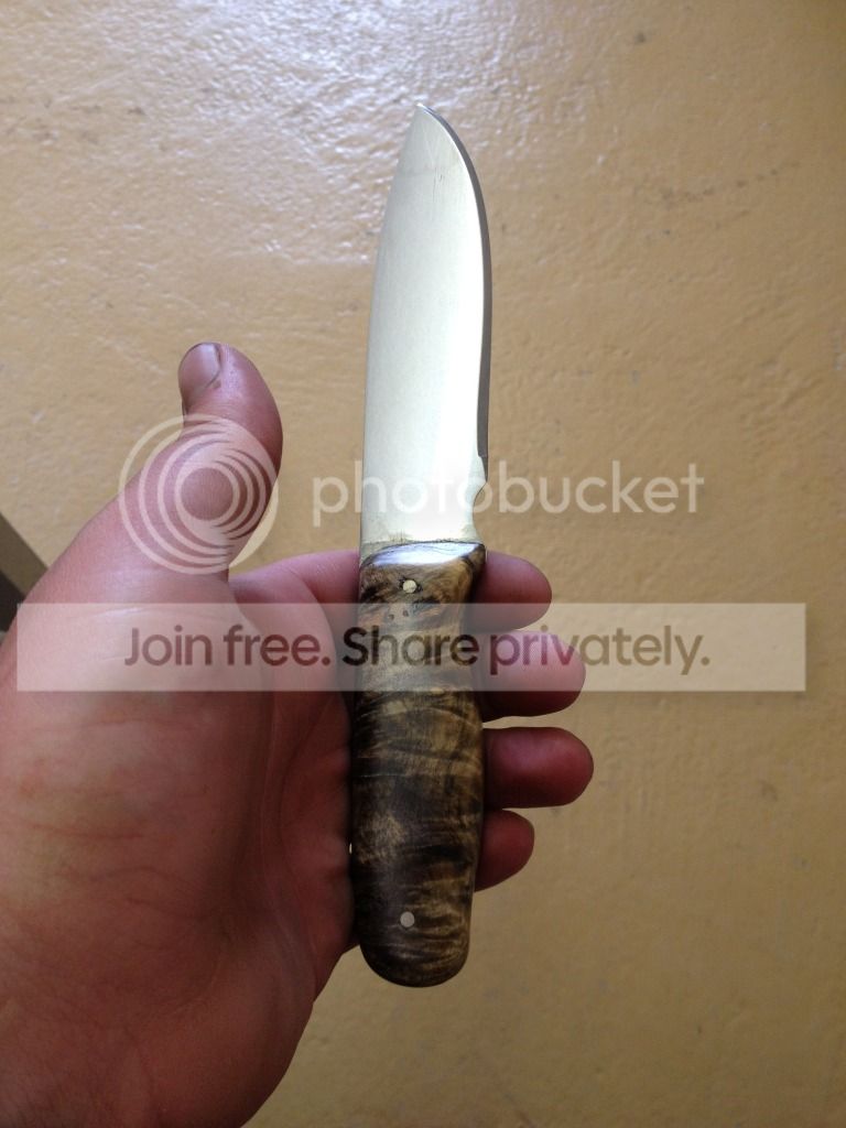 null_zps2fb2ba80.jpg